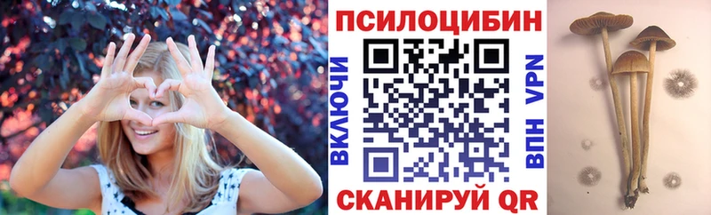Галлюциногенные грибы Cubensis  Купить где  Новоузенск 